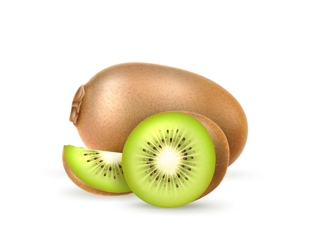 realistic fresh kiwi
