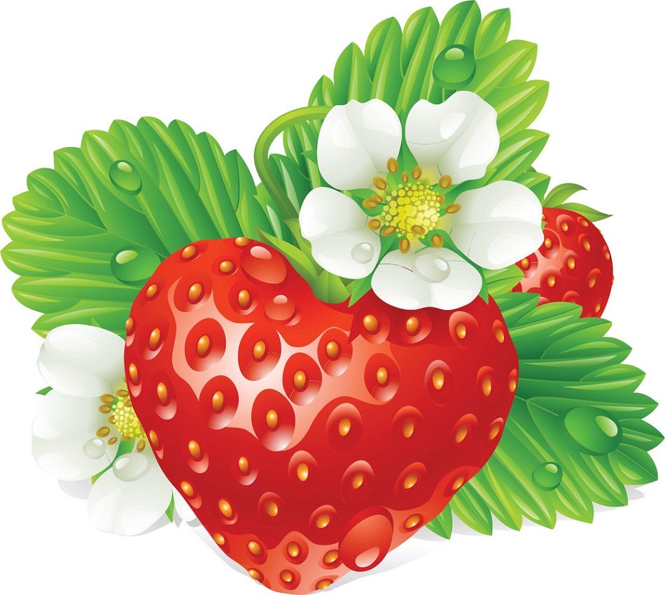 realistic fresh strawberry