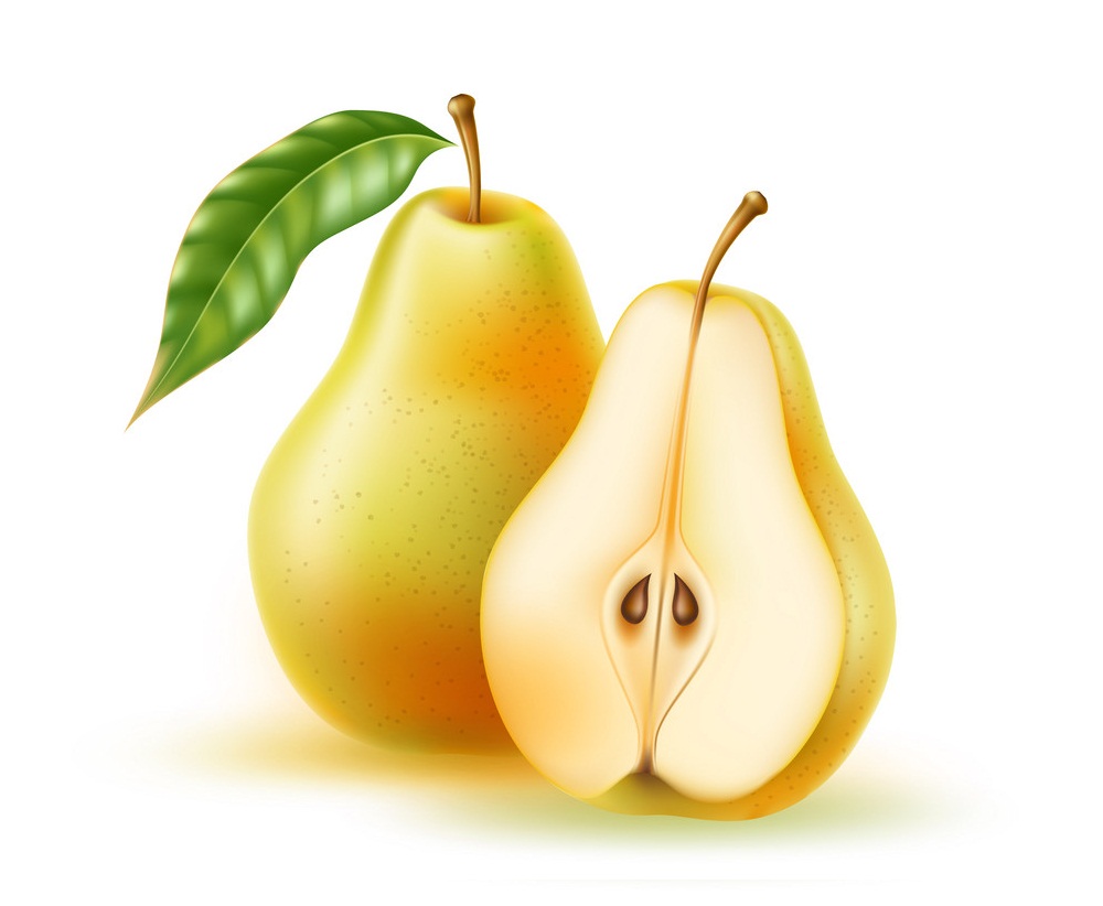 realistic fresh whole and half pear fruit
