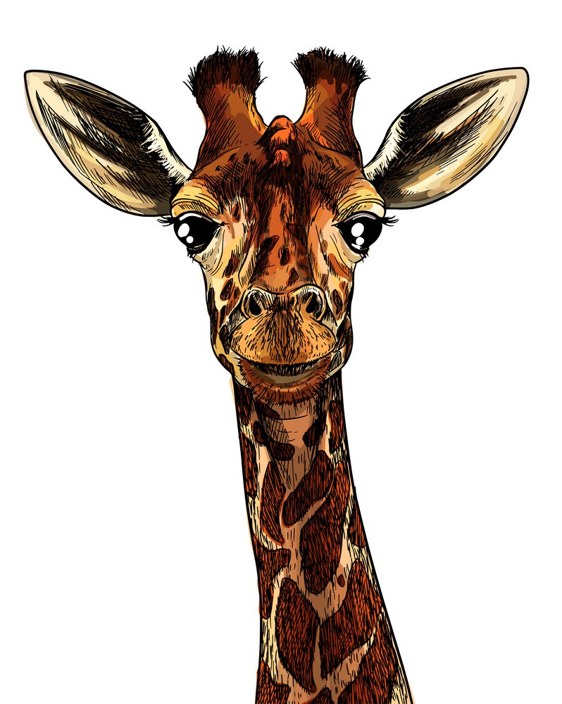 realistic giraffe head