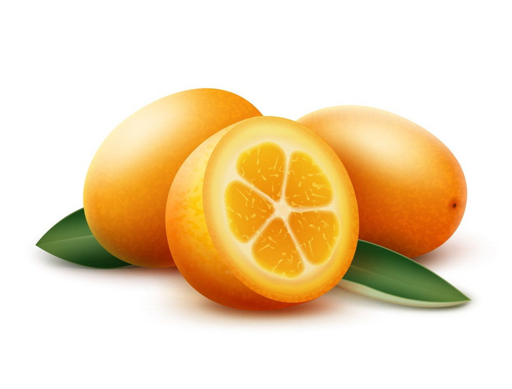 Kumquat Clipart