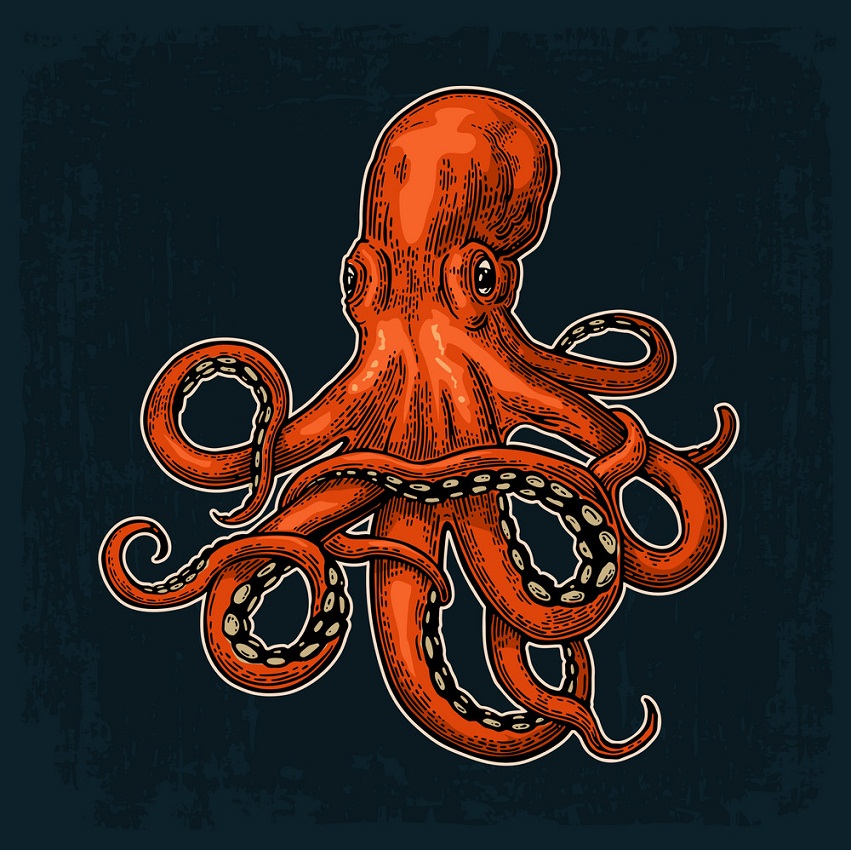 realistic orange octopus