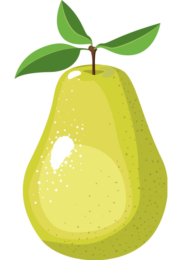 realistic pear fruit