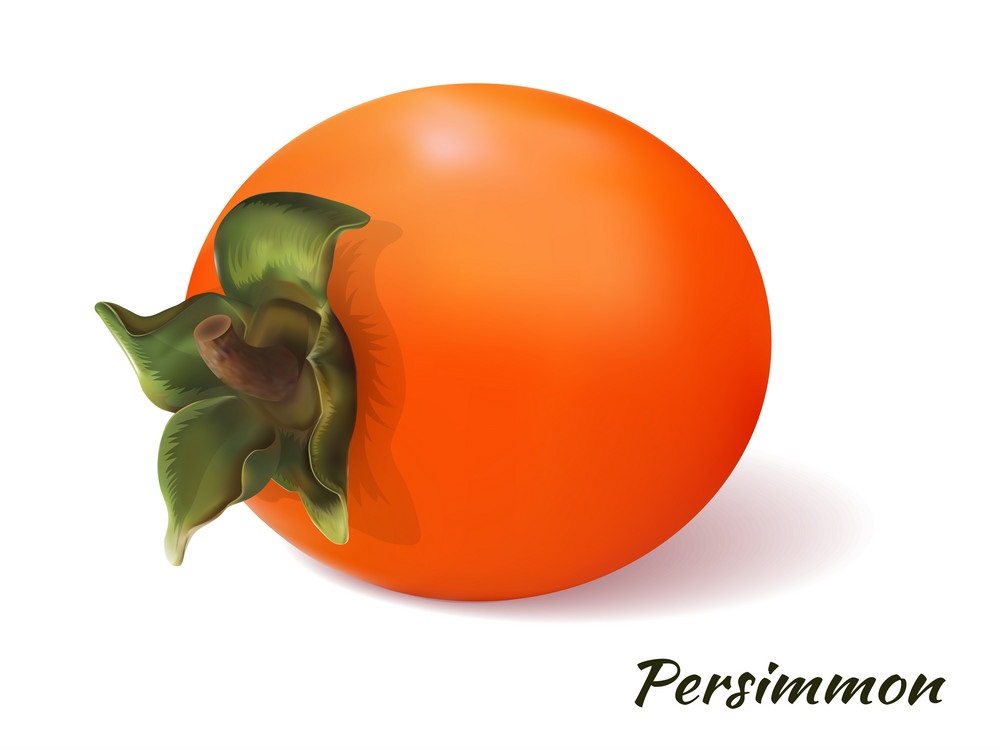 realistic persimmon