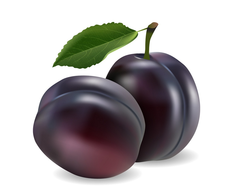 realistic plum fruits