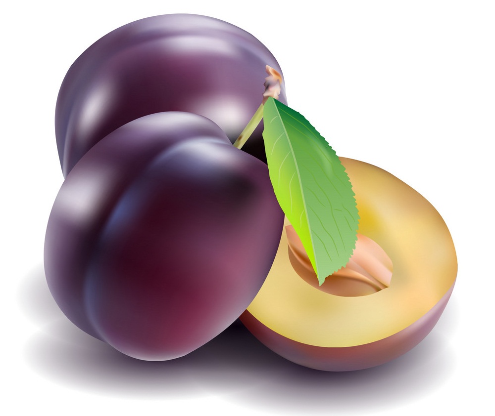 realistic plums