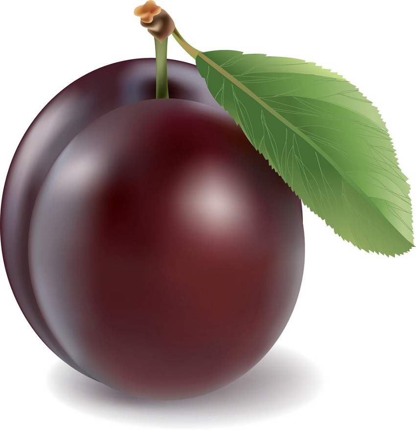 realistic red plum