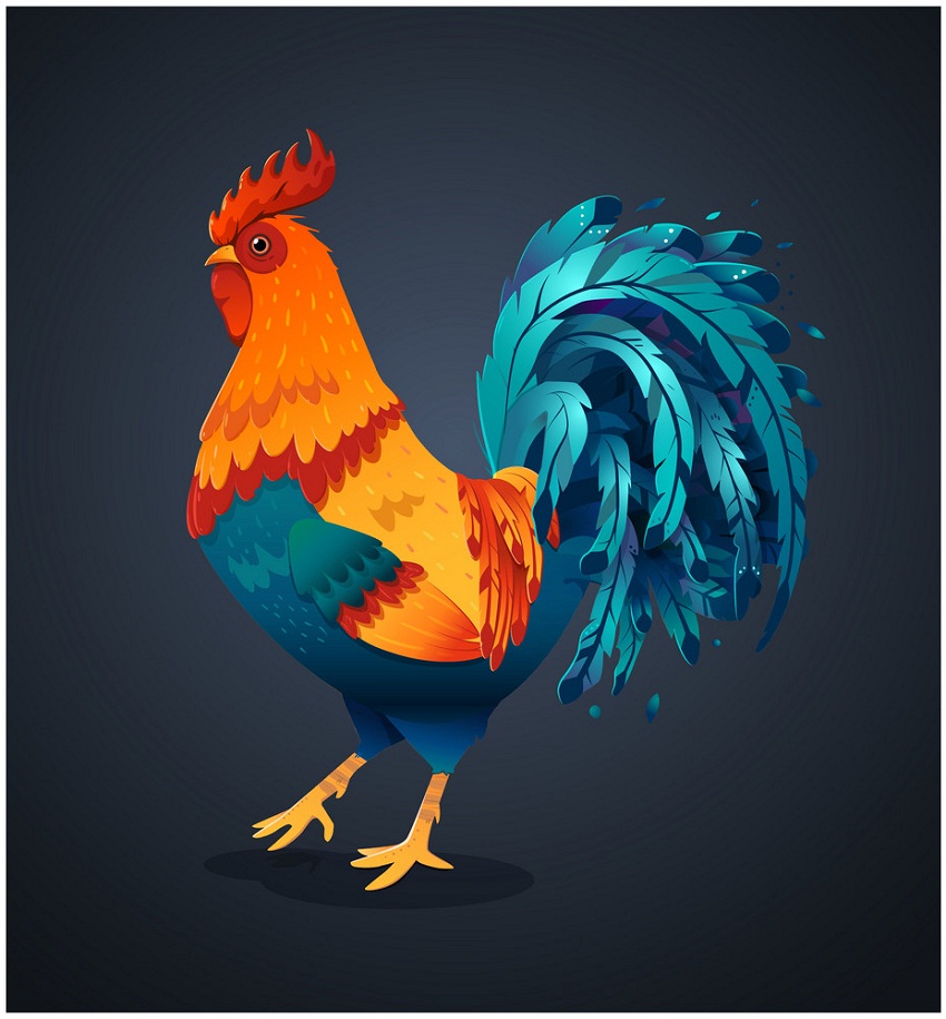 realistic rooster