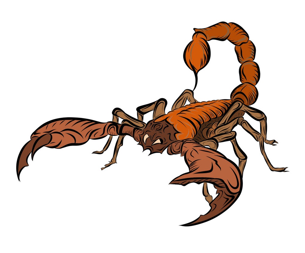 realistic scorpion