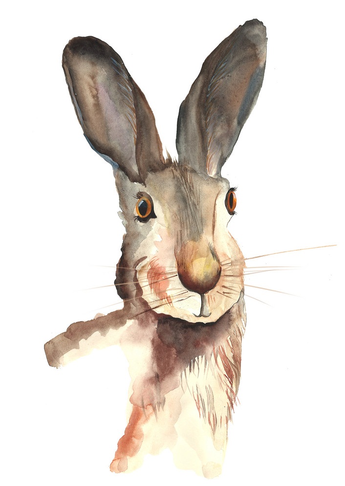 realistic watercolor rabbit