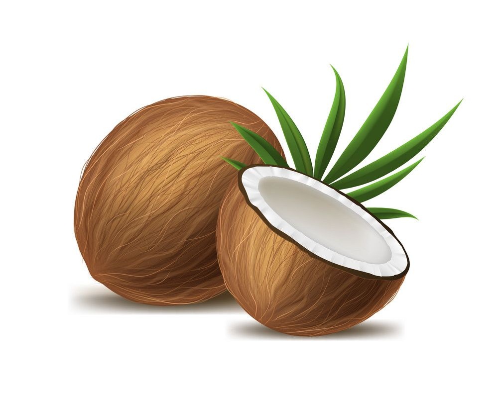 realistic whole and half coconuts