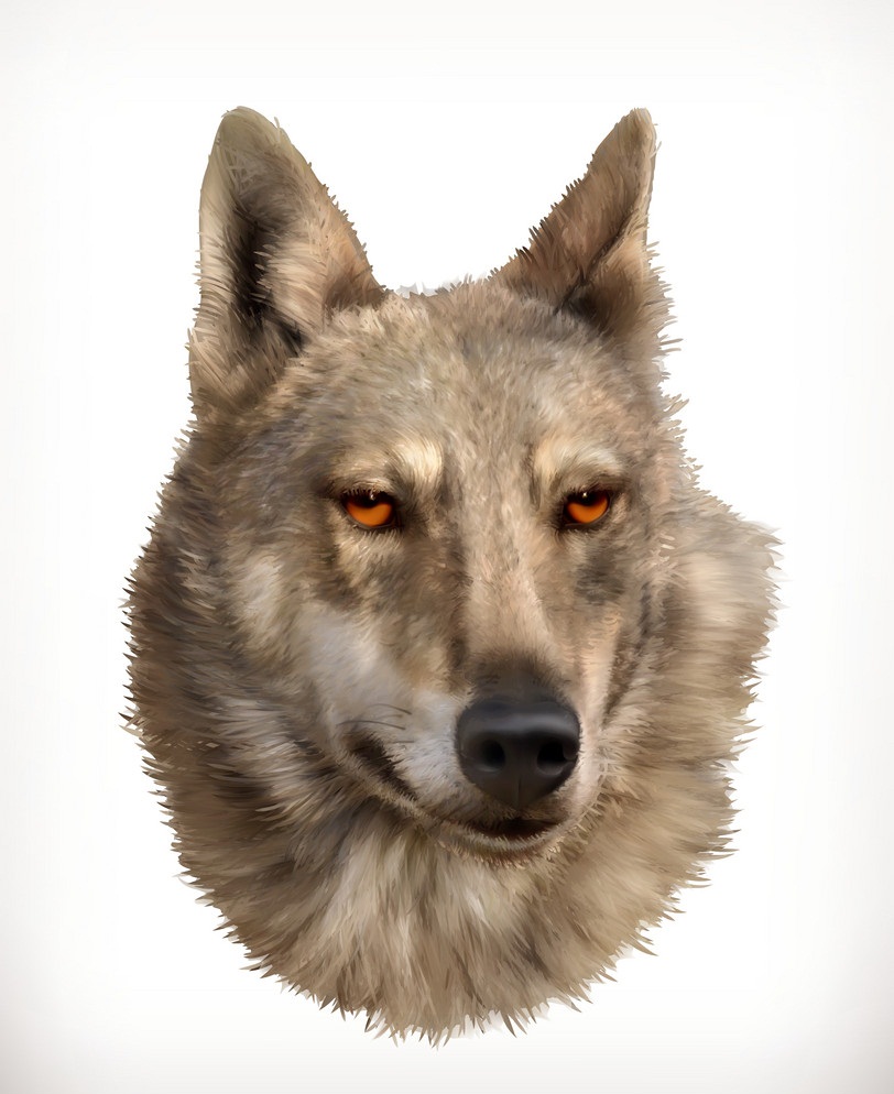 realistic wolf head