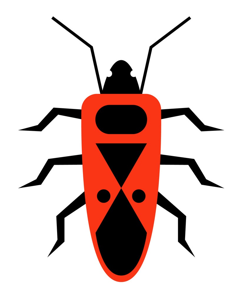 red beetle 1