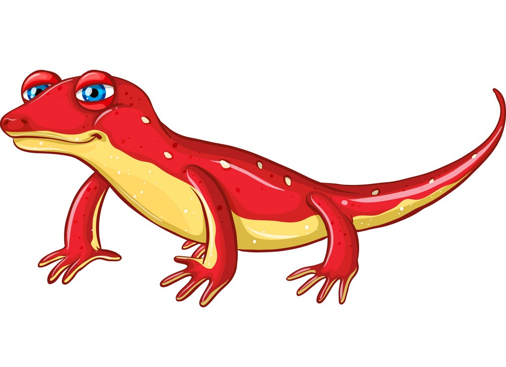 red lizard