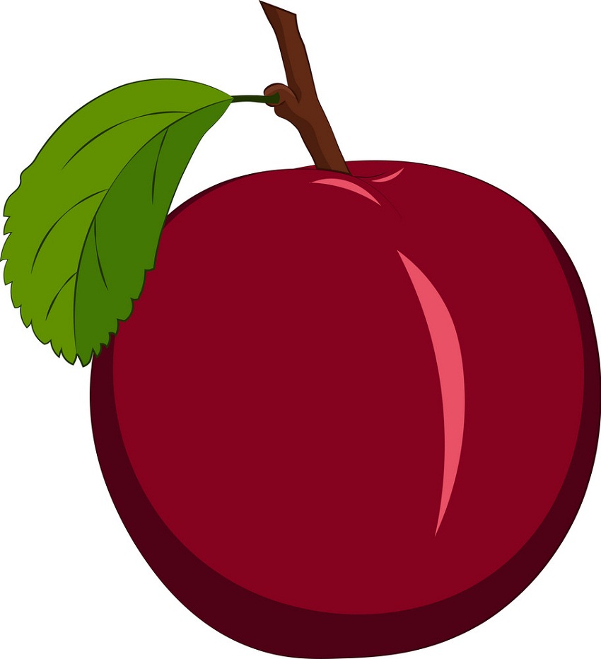 red plum