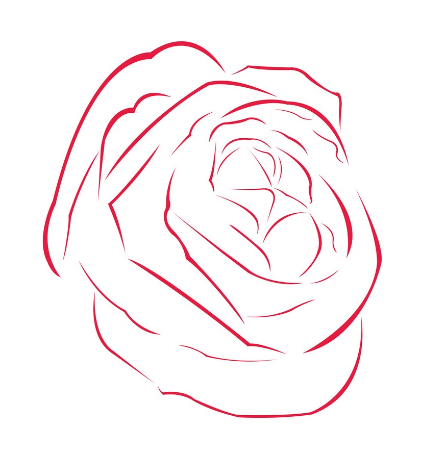 red rose outline