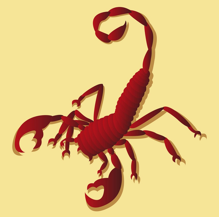 red scorpion flat design
