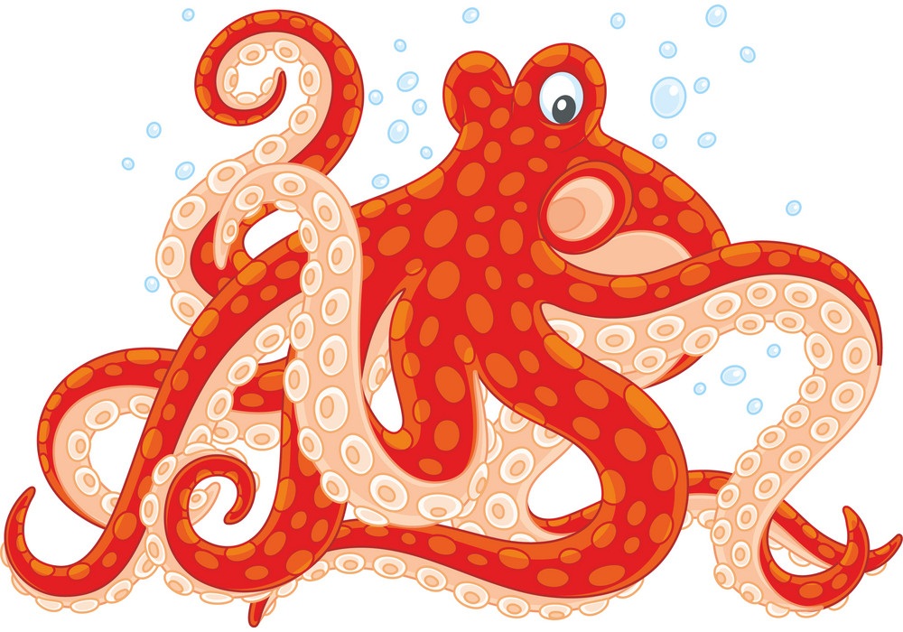 red spotted octopus