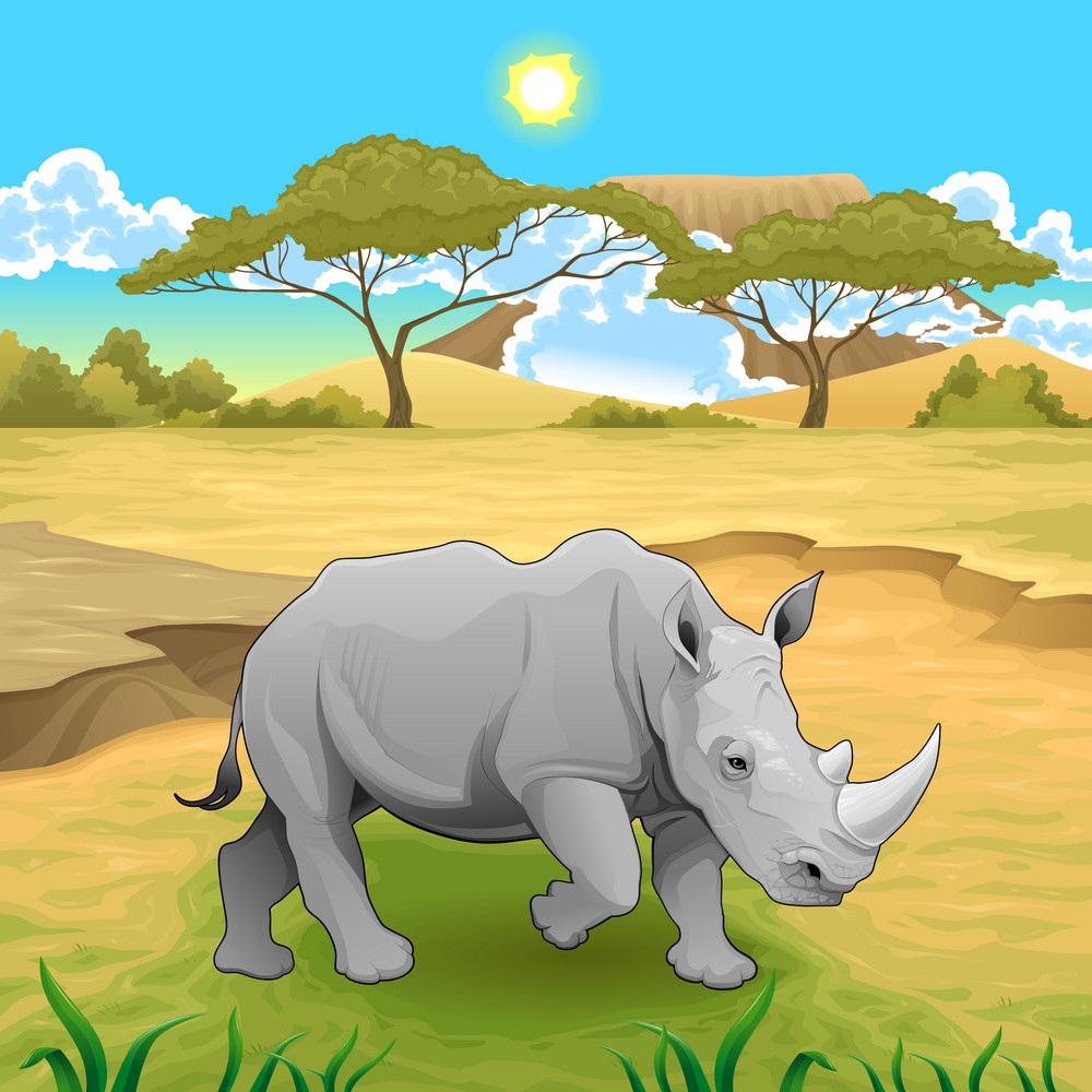 rhino in african
