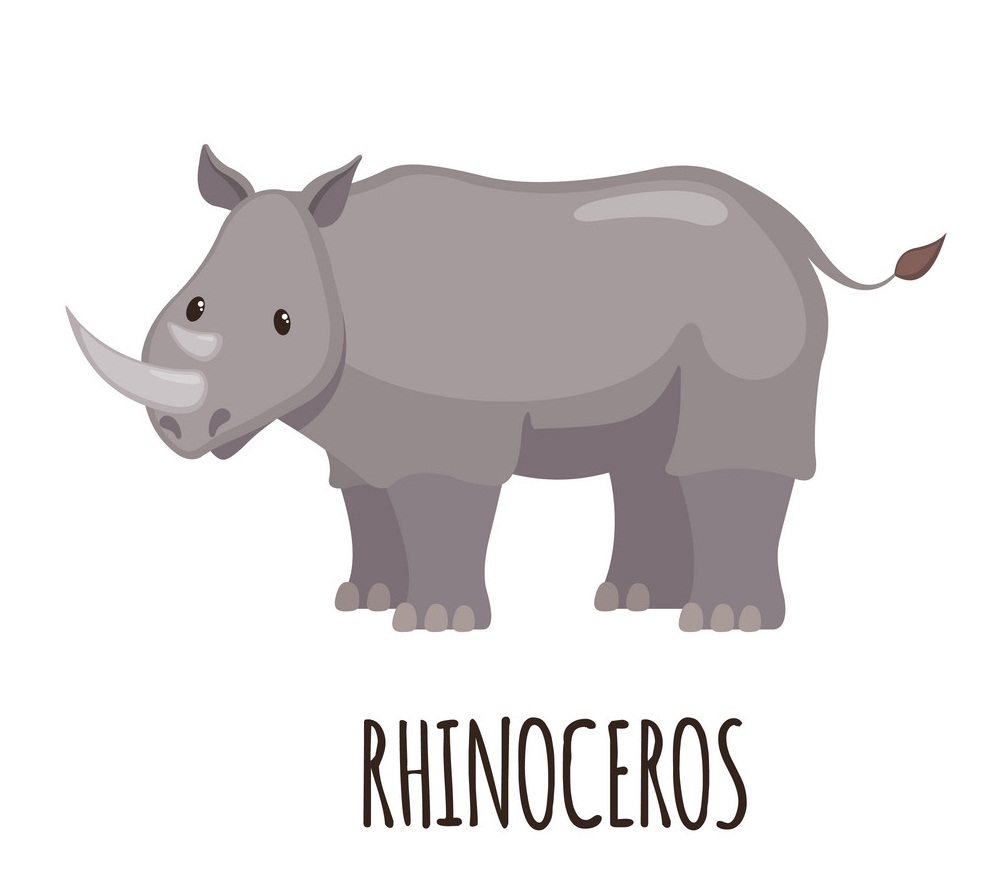 rhinoceros flat design