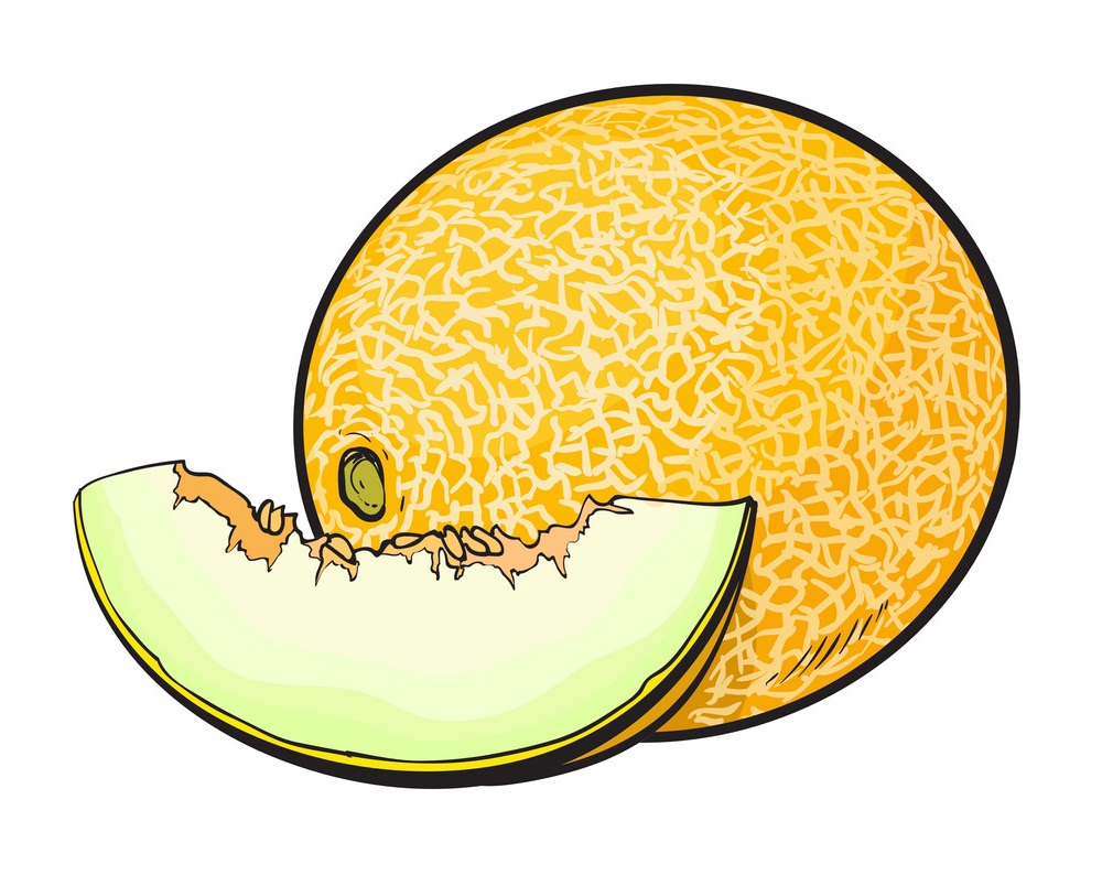 ripe and juicy yellow melon