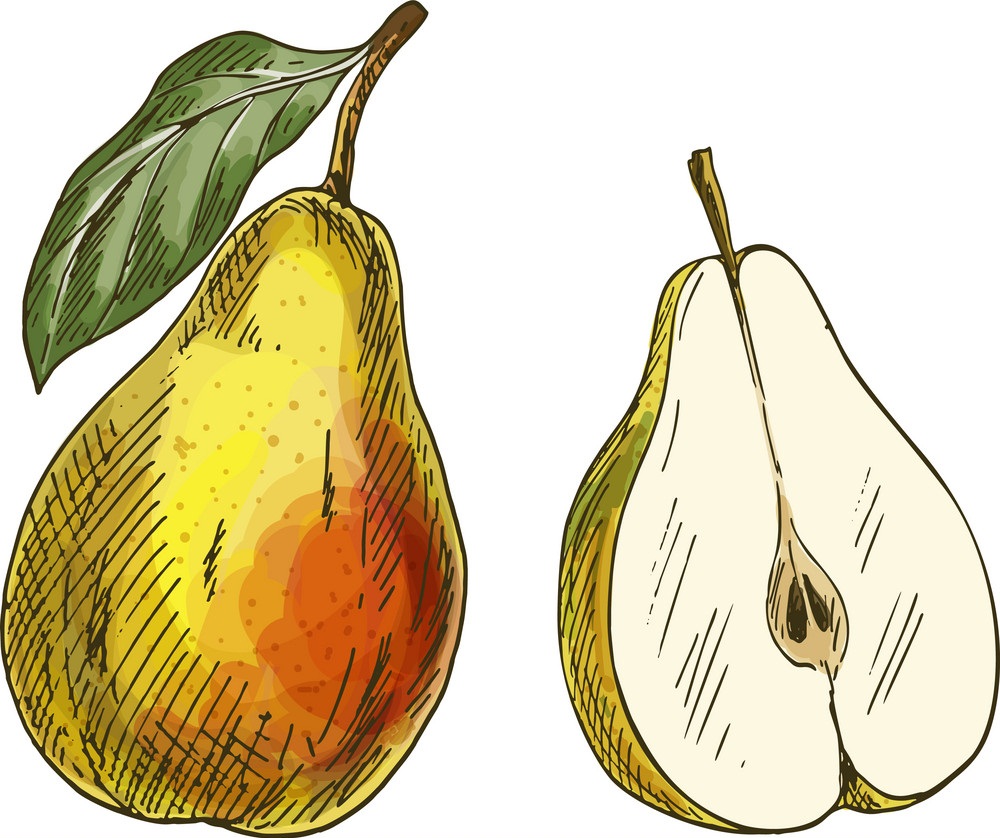 ripe pear and a half