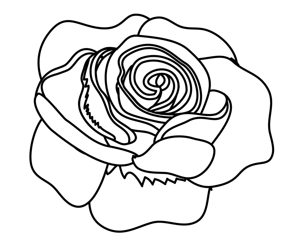 rose outline 1