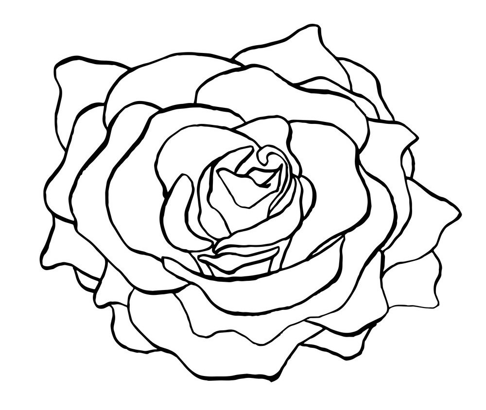 rose outline 2