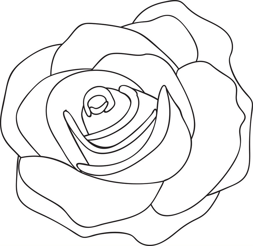 rose outline 3