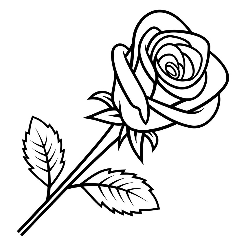 rose outline 4