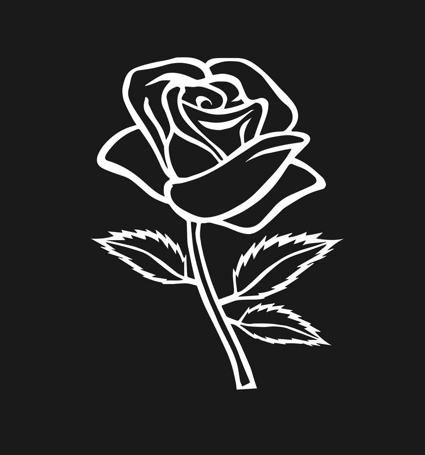 rose outline on black background