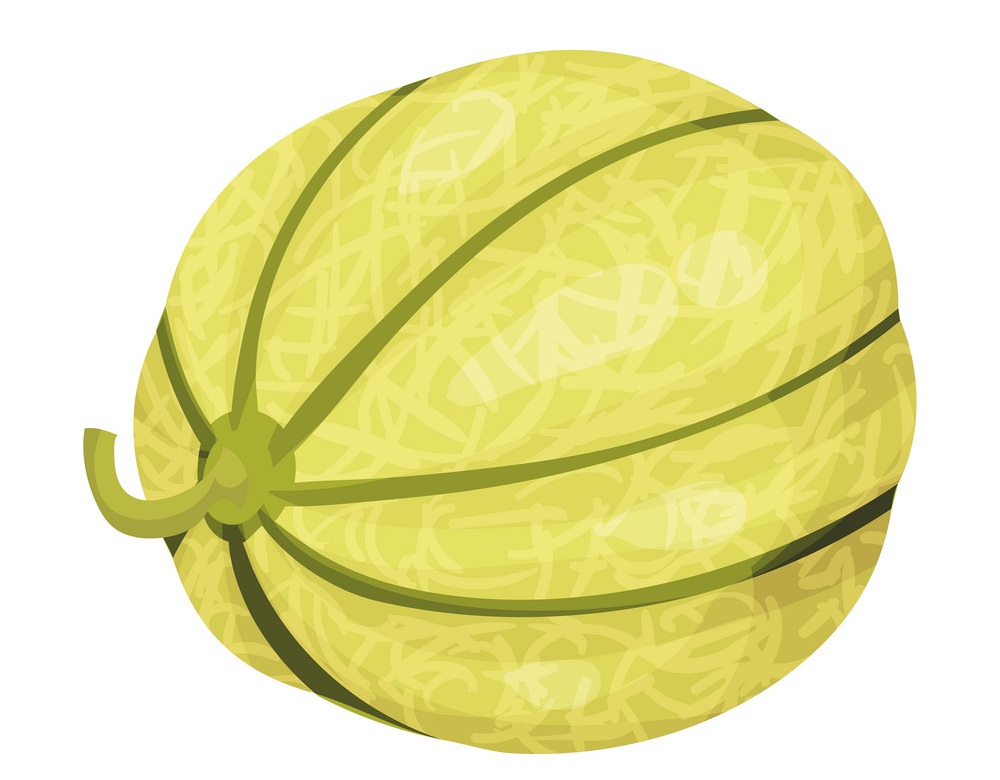 round green melon