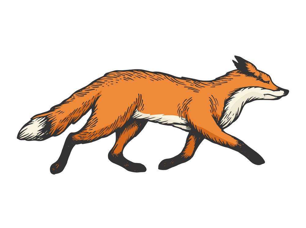 running fox