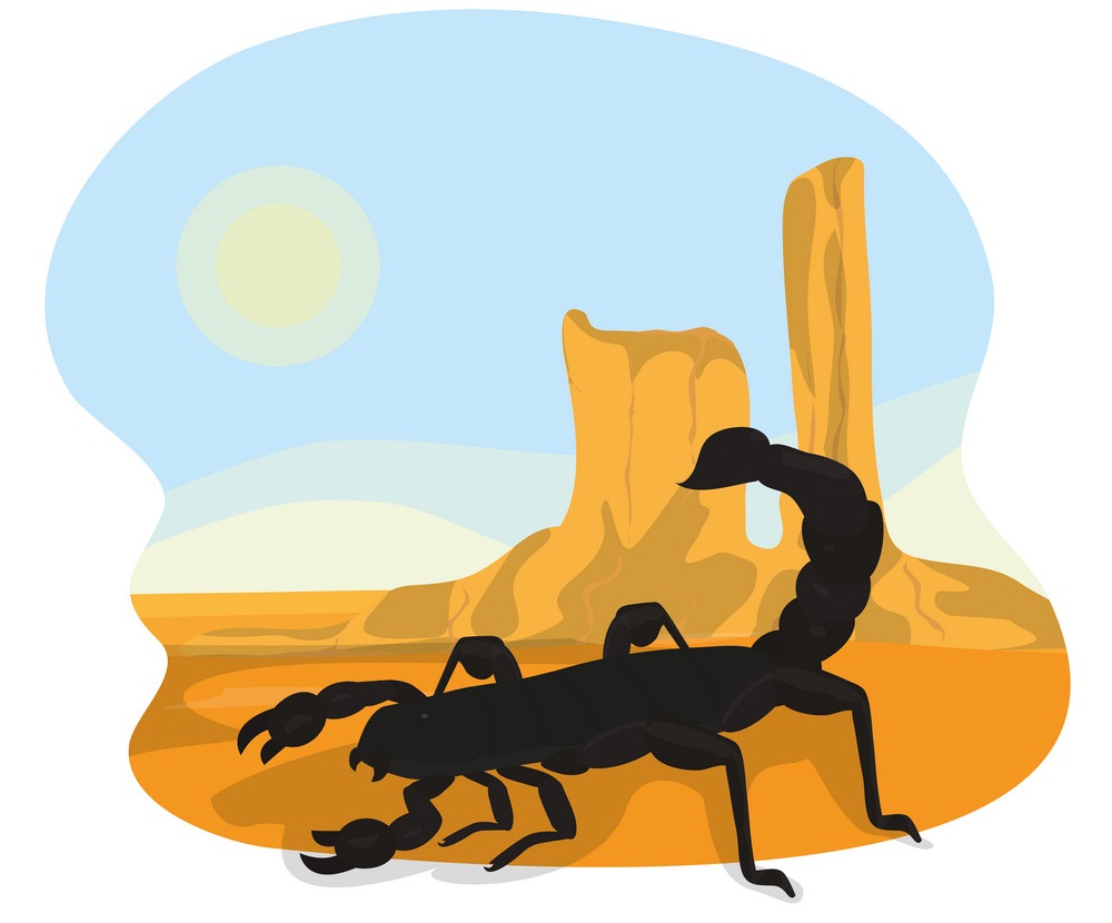 scorpion in the desert