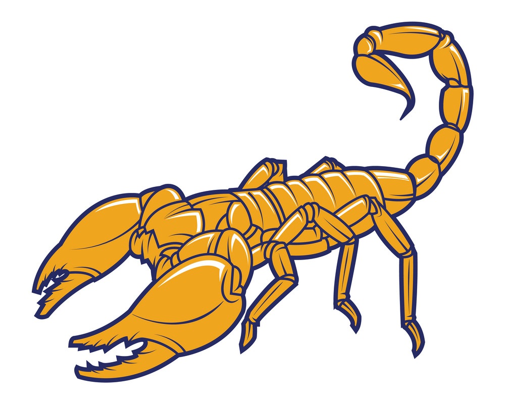 scorpion mascot