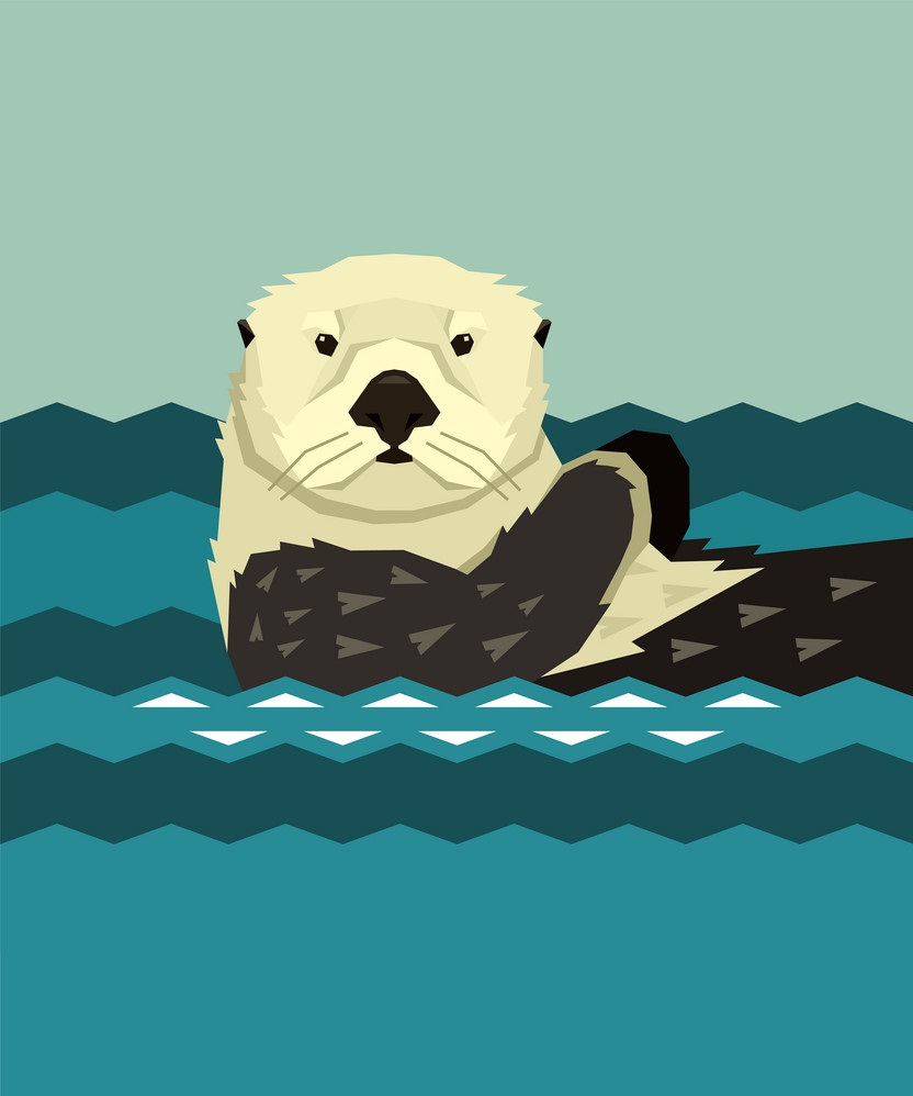 sea otter floating