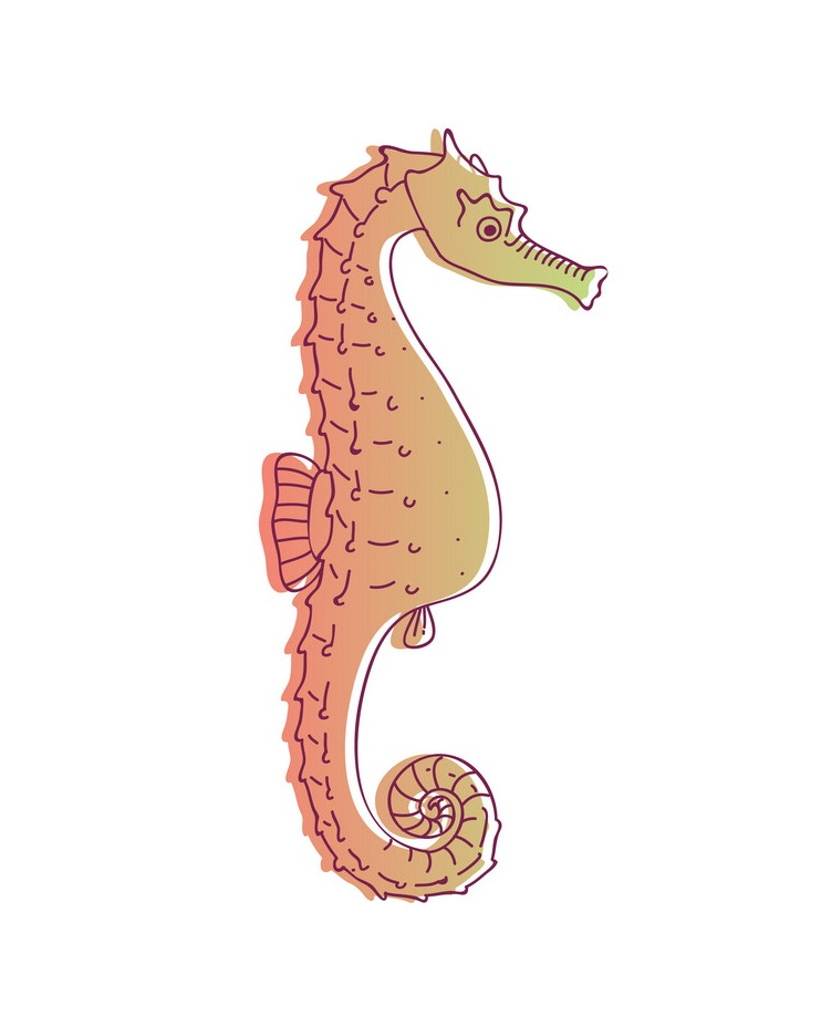 seahorse red color