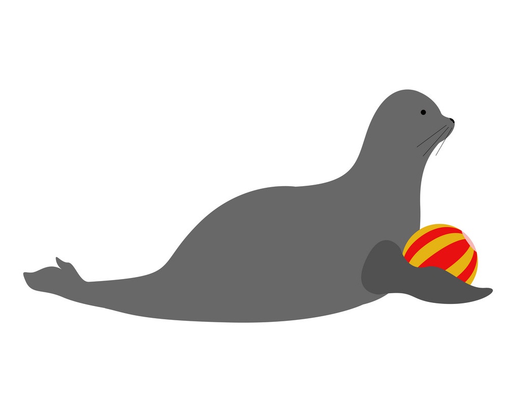 seal with a ball