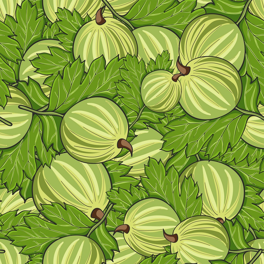 seamless pattern with gooseberries
