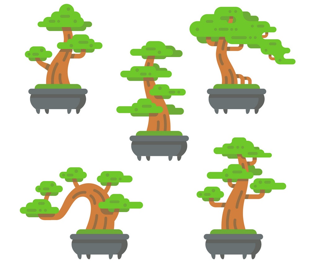 set of bonsai trees