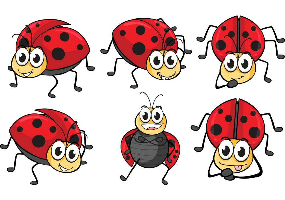 set of cartoon ladybugs