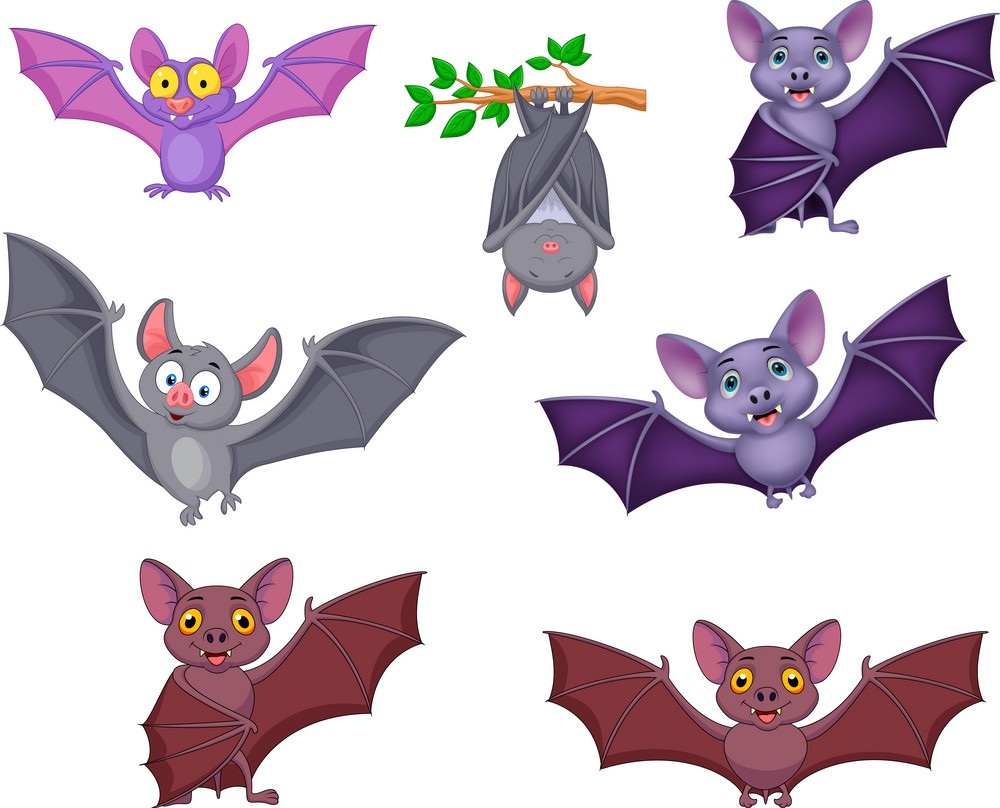 set of cute bats