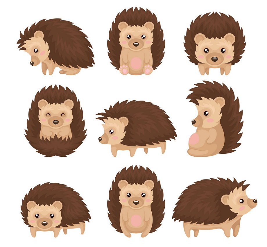 set of cute hedgehogs
