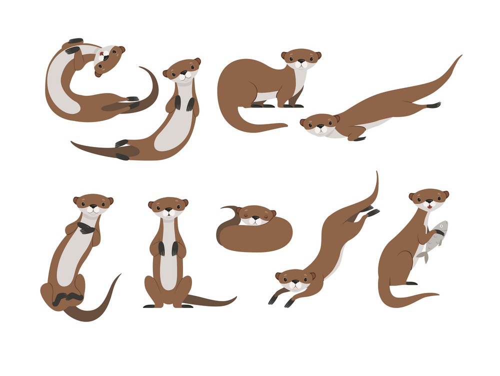 set of cute otters