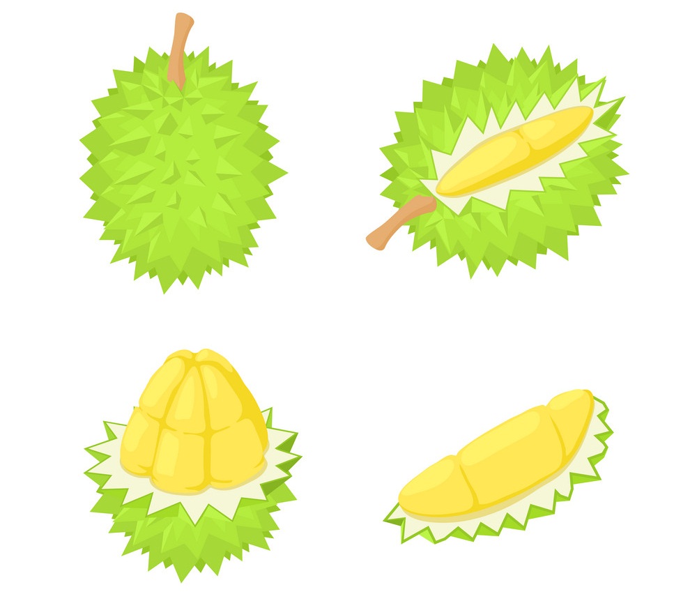 set of durian fruit
