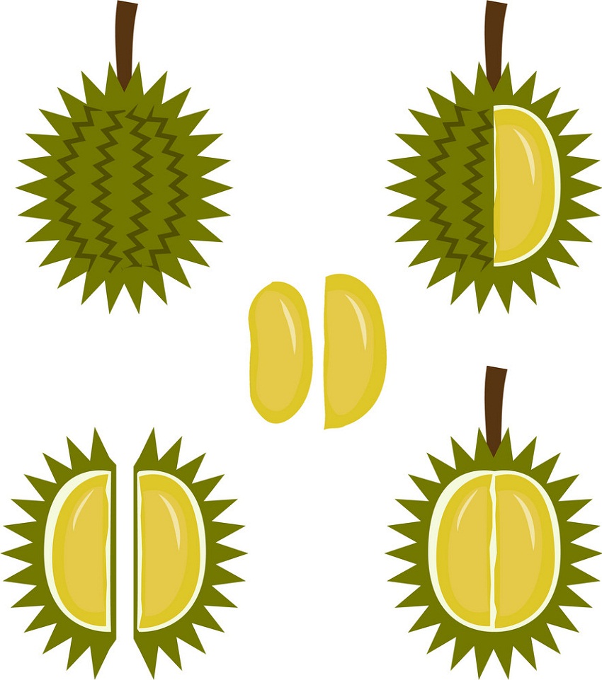 set of durian icons