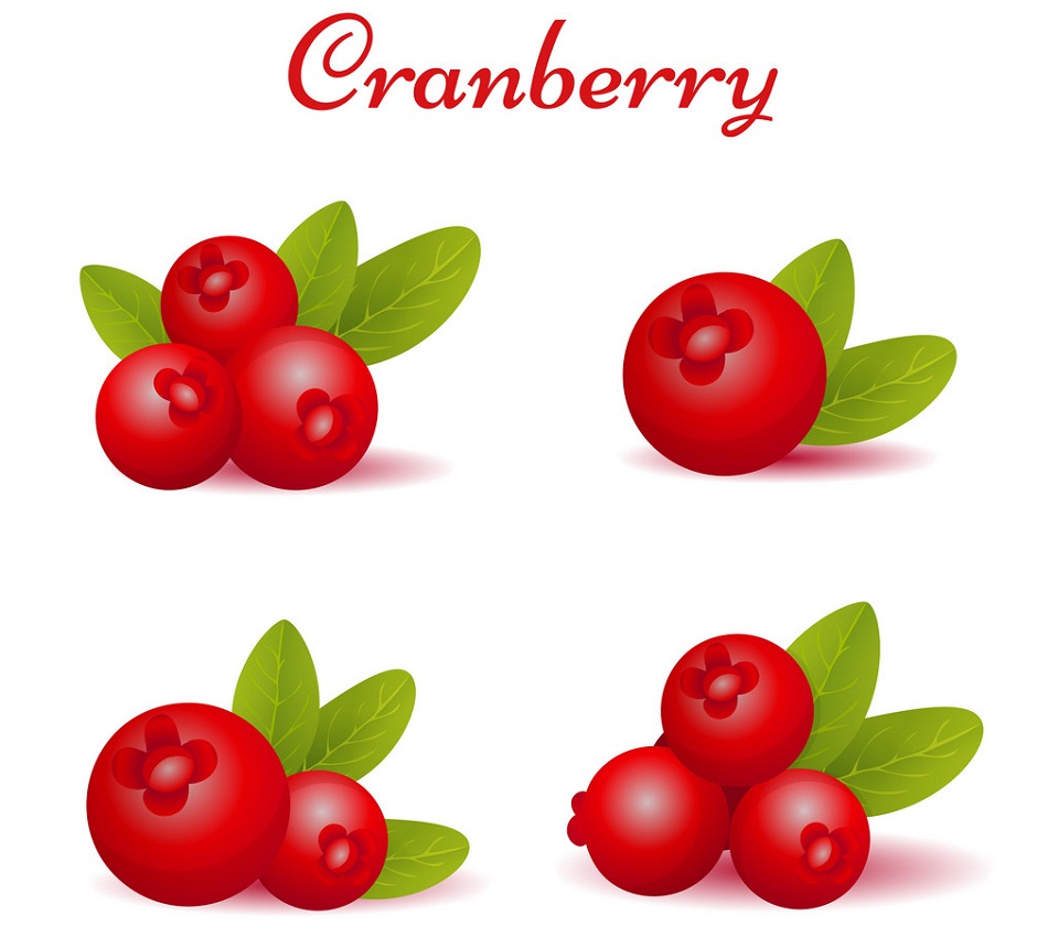 set of forest cranberries
