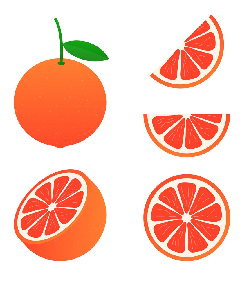 set of grapefruit and slices icon