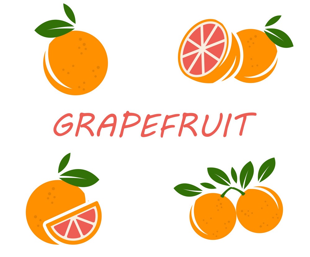 set of grapefruits icon