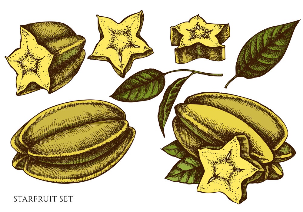 set of hand drawn star fruits